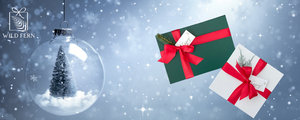 Christmas Under 100
